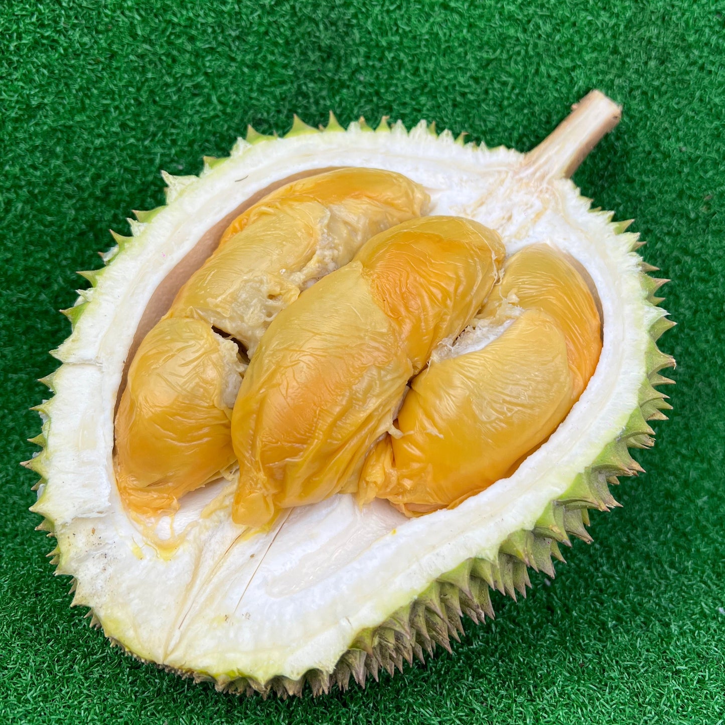 Red Prawn Durian Johor | 500g
