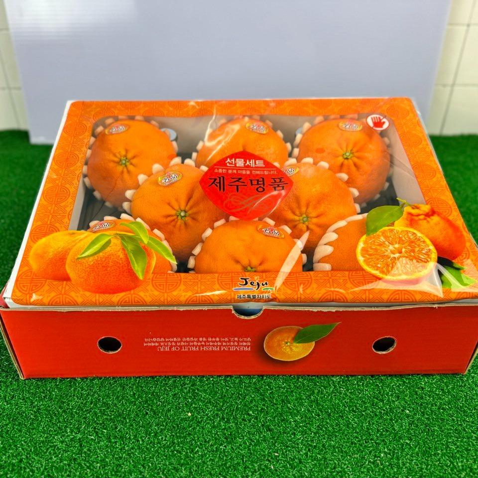 SYR CNY Mandarin Orange JEJU REDHYANG KOREA Red Pearl Orange