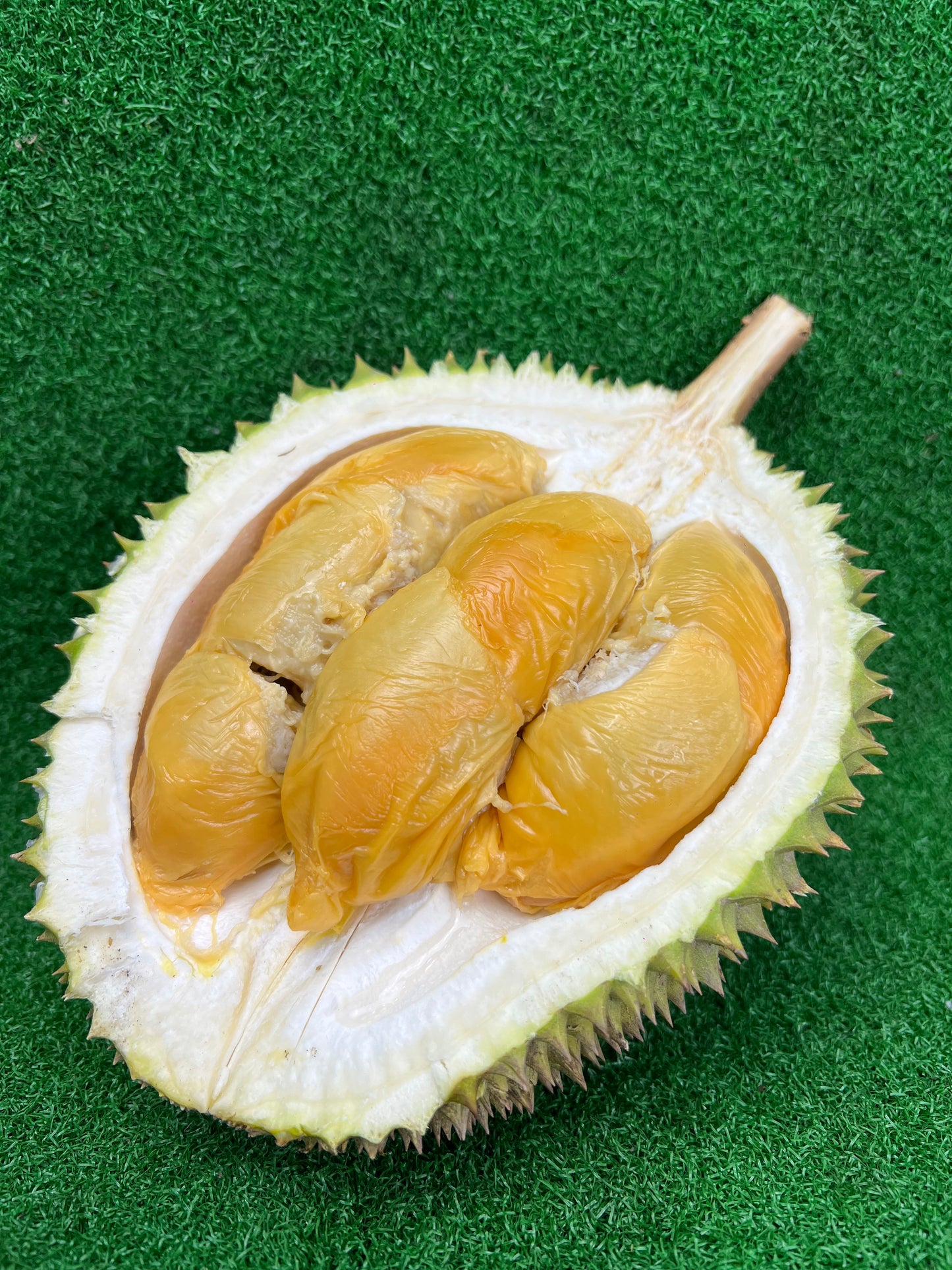 Red Prawn Durian Johor | 500g