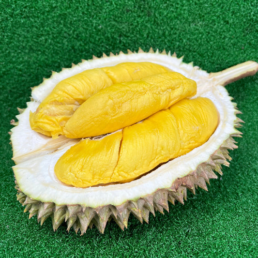 Black Gold Old Tree Musang King | Johor