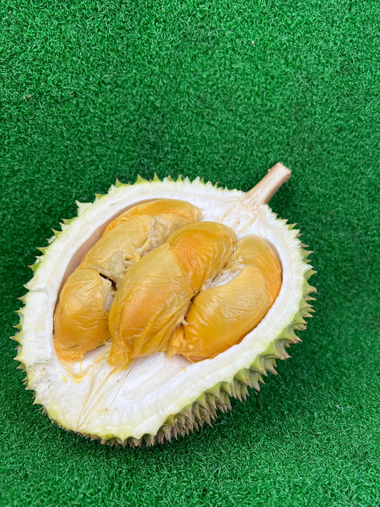 Red Prawn Durian | Singapore
