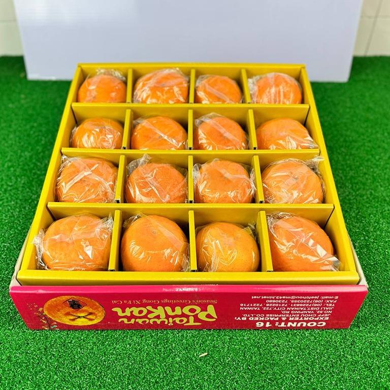 CNY Mandarin Orange Gold Taiwan Ponkan (Box of 16)